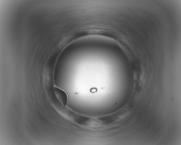 X0000082200215200701270126