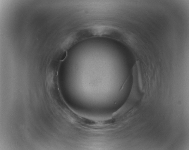 X0000082200219200701270126