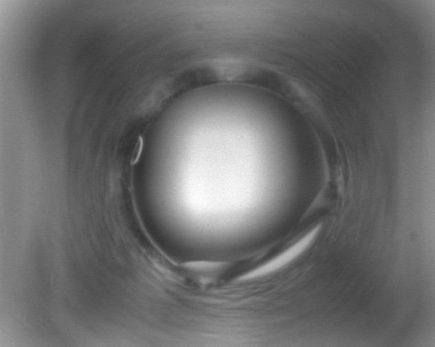 X0000082200221200701270126