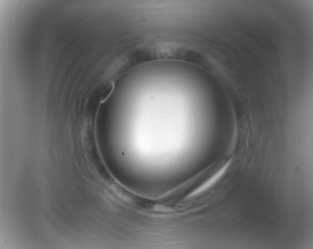 X0000082200225200701270126