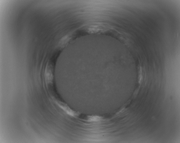 X0000082200226200701270126