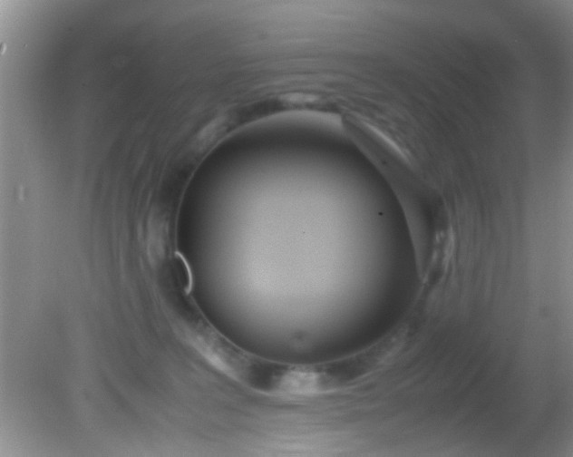 X0000082200227200701270126