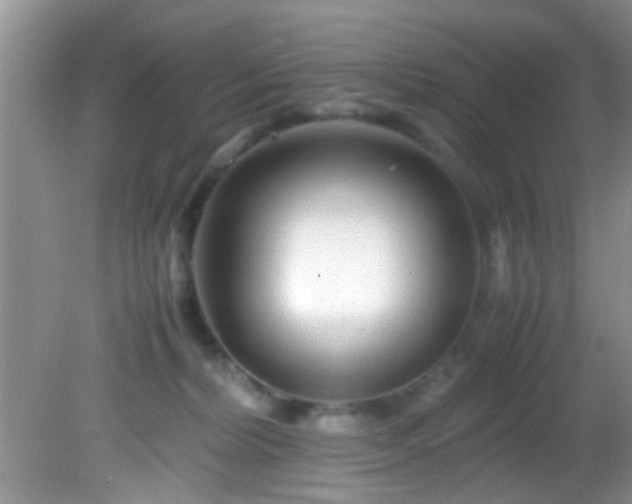 X0000082200228200701270126