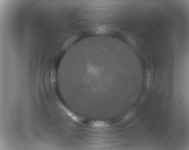 X0000082200230200701270126