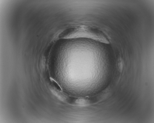 X0000082200231200701270126