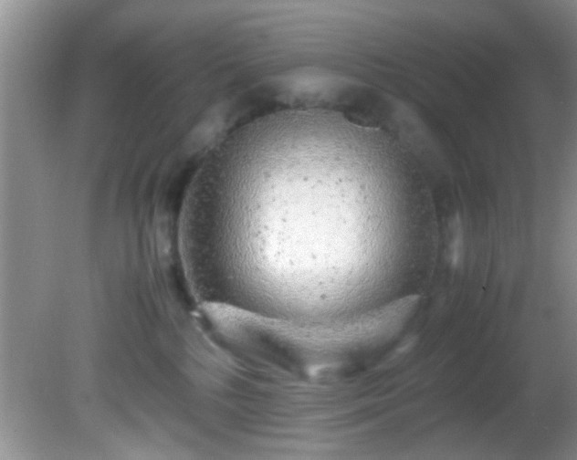 X0000082200232200701270126