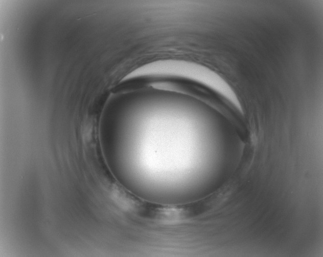 X0000082200233200701270126