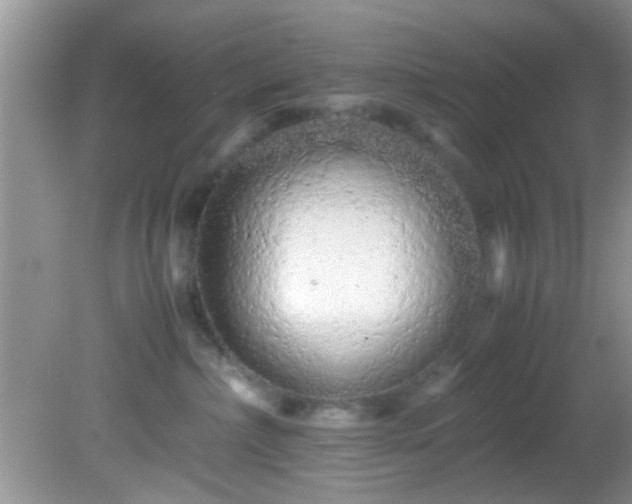 X0000082200236200701270126