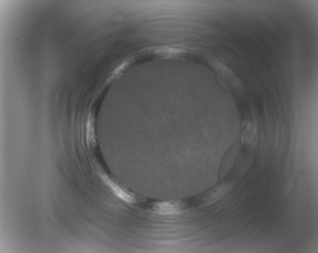 X0000082200238200701270126