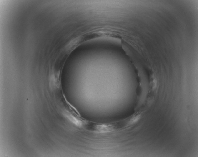 X0000082200239200701270126