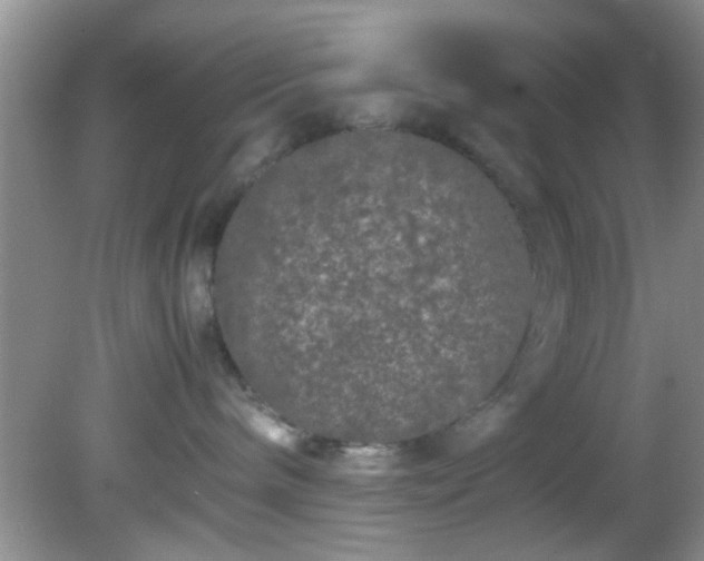 X0000082200240200701270126