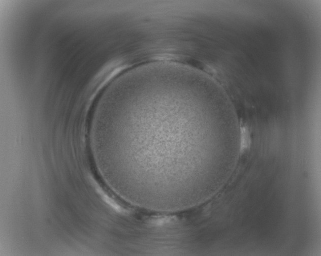 X0000082200243200701270125