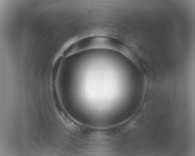 X0000082200244200701270125