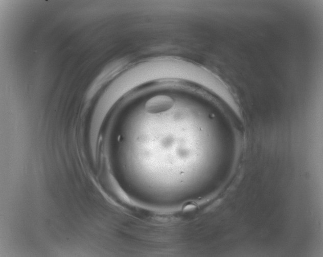 X0000082200245200701270125