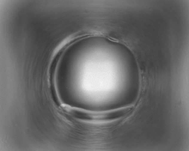 X0000082200246200701270125