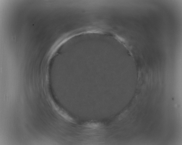 X0000082200247200701270125