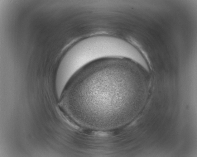 X0000082200249200701270125