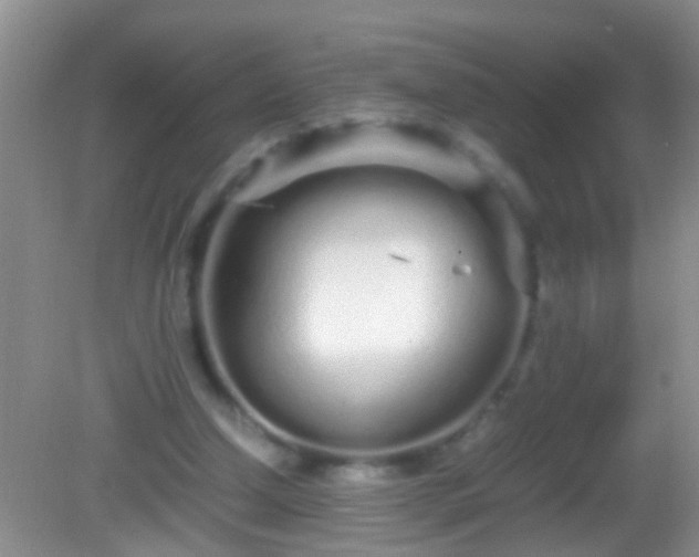 X0000082200250200701270125