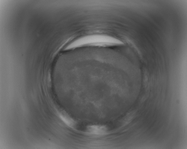 X0000082200251200701270125