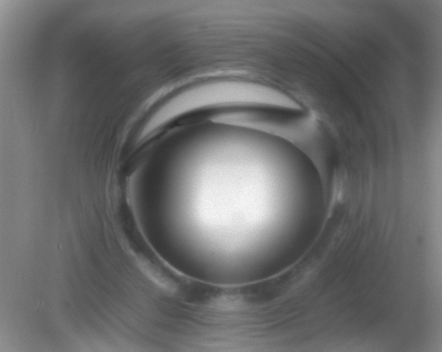 X0000082200252200701270125