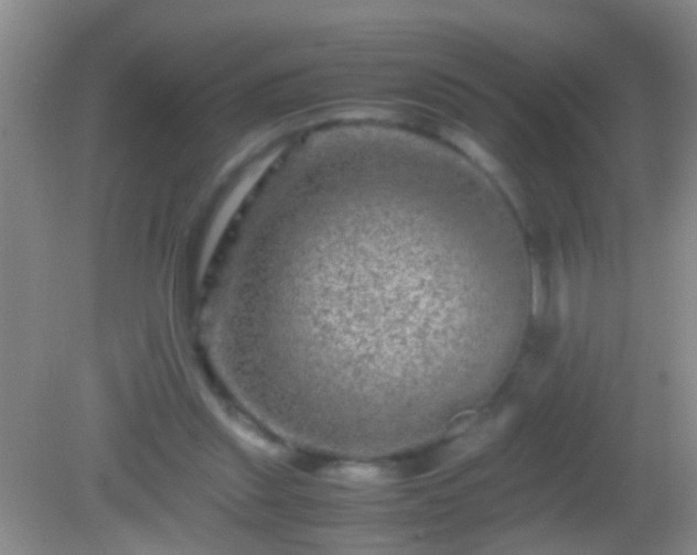 X0000082200253200701270125