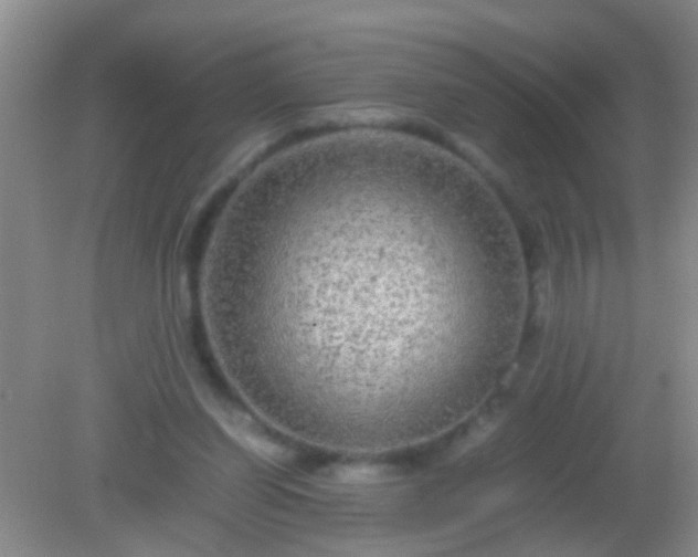 X0000082200254200701270125