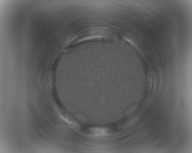 X0000082200255200701270125