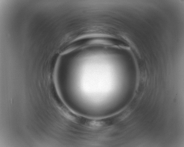 X0000082200261200701270126