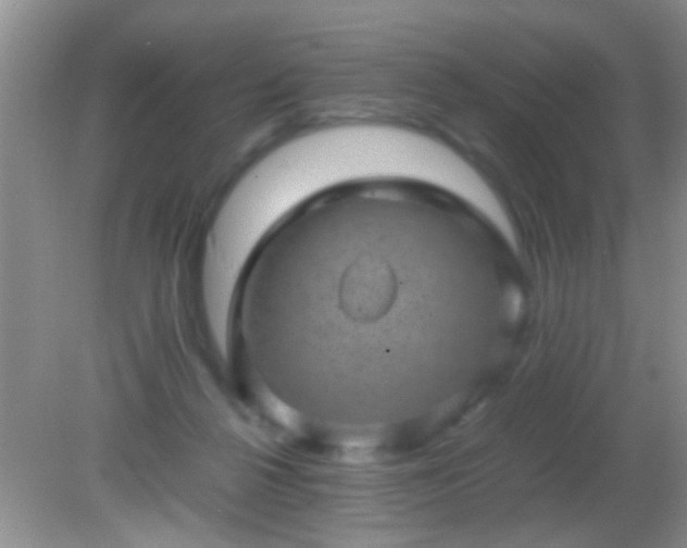 X0000082200264200701270126