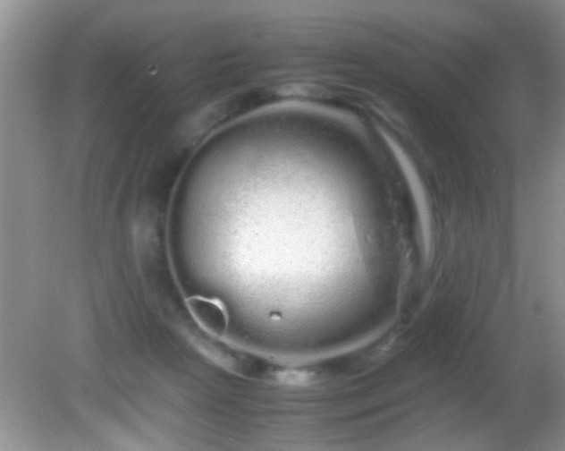 X0000082200265200701270126