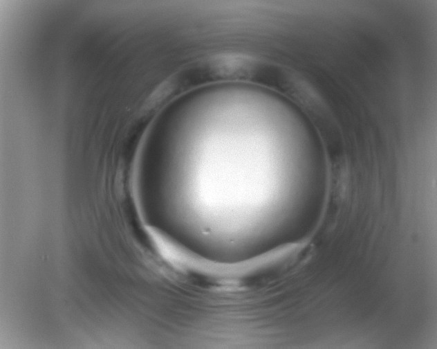 X0000082200266200701270126