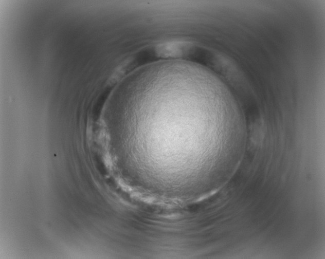 X0000082200267200701270126