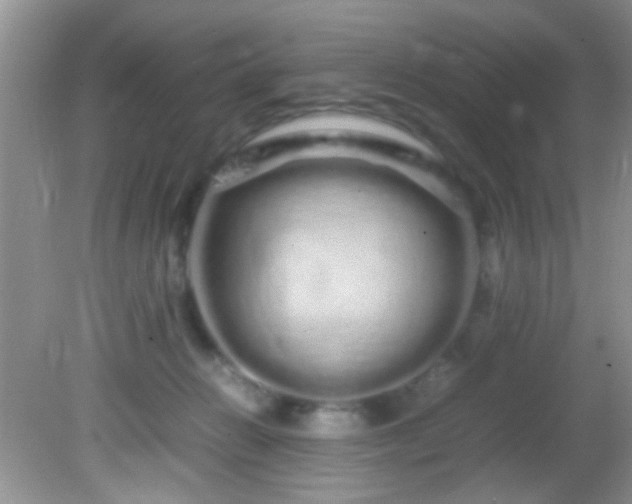 X0000082200270200701270126