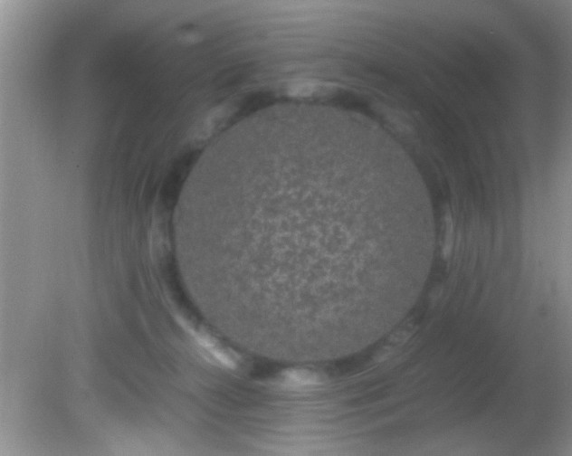 X0000082200272200701270126