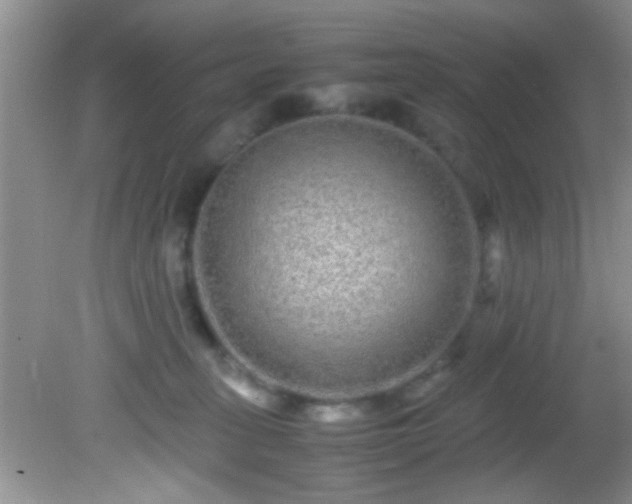 X0000082200275200701270126