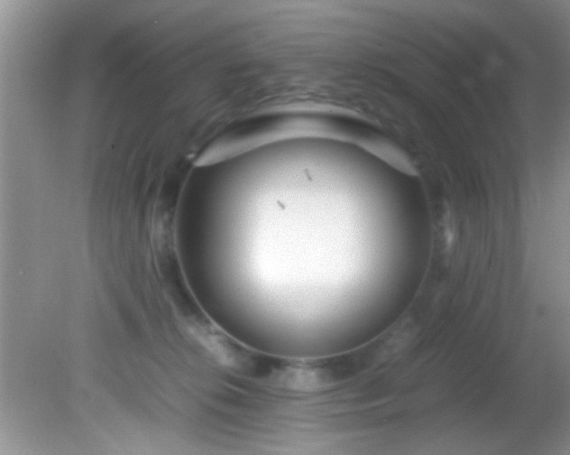 X0000082200276200701270126