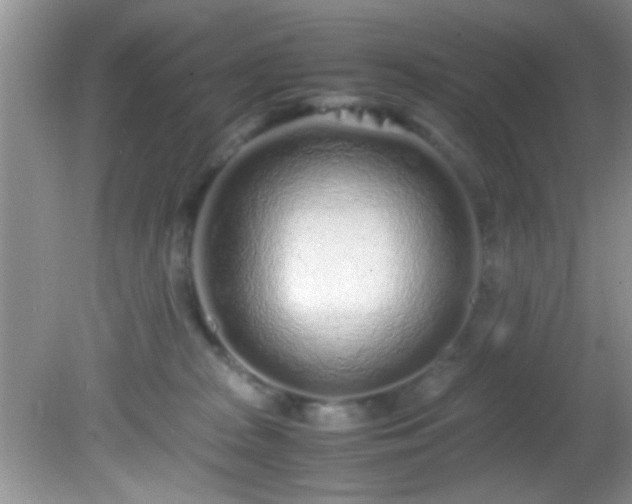 X0000082200277200701270126