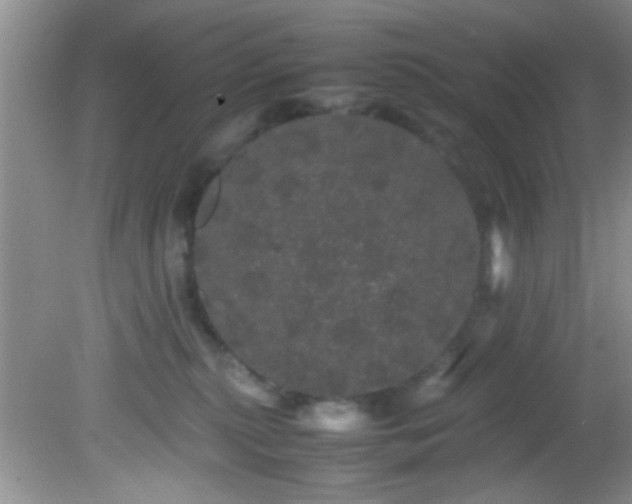 X0000082200279200701270126