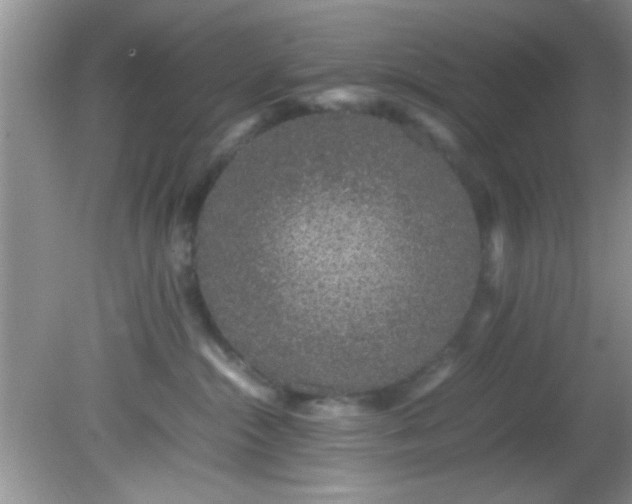 X0000082200284200701270126