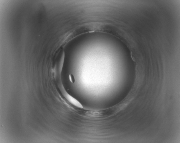 X0000082200288200701270126