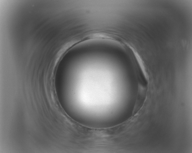 X0000082200289200701270125