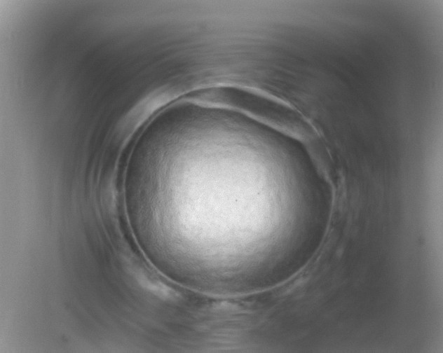 X0000082200290200701270125