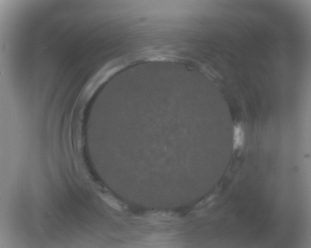 X0000082200291200701270125