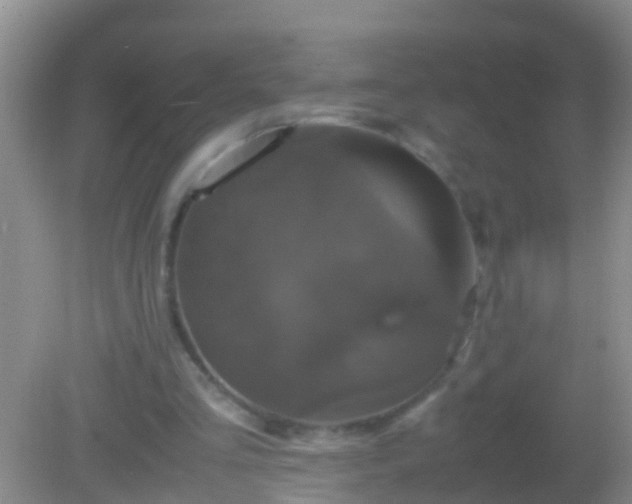 X0000082200293200701270125