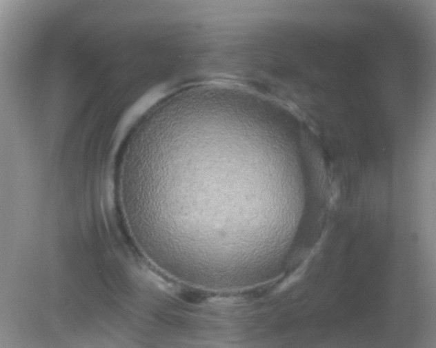 X0000082200294200701270125