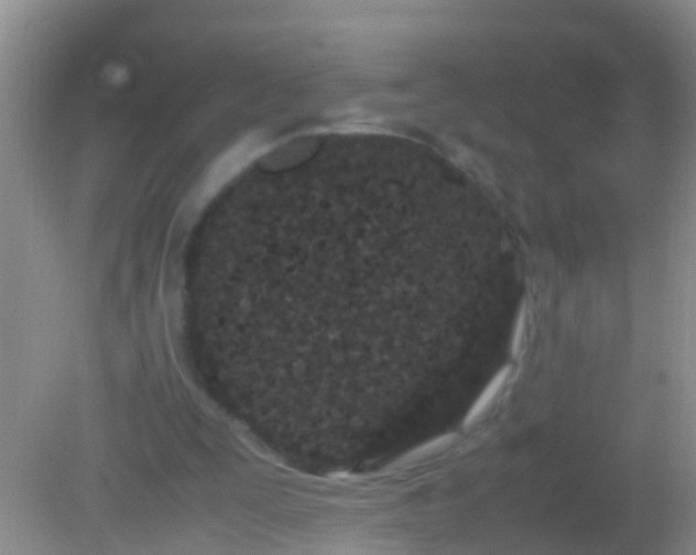 X0000082200295200701270125