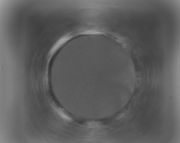 X0000082200296200701270125