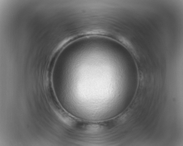 X0000082200298200701270125