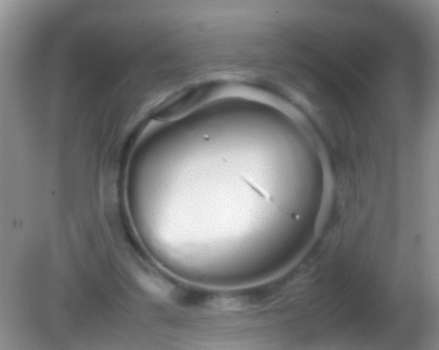 X0000082200299200701270125