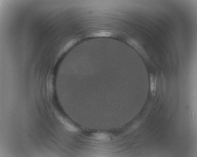 X0000082200300200701270125